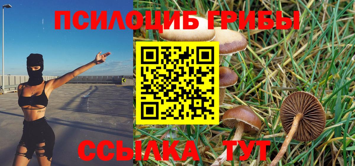 Псилоцибиновые грибы прущие грибы  Галлюциногенные грибы Magic Shrooms  Азнакаево  Вход с VPN 